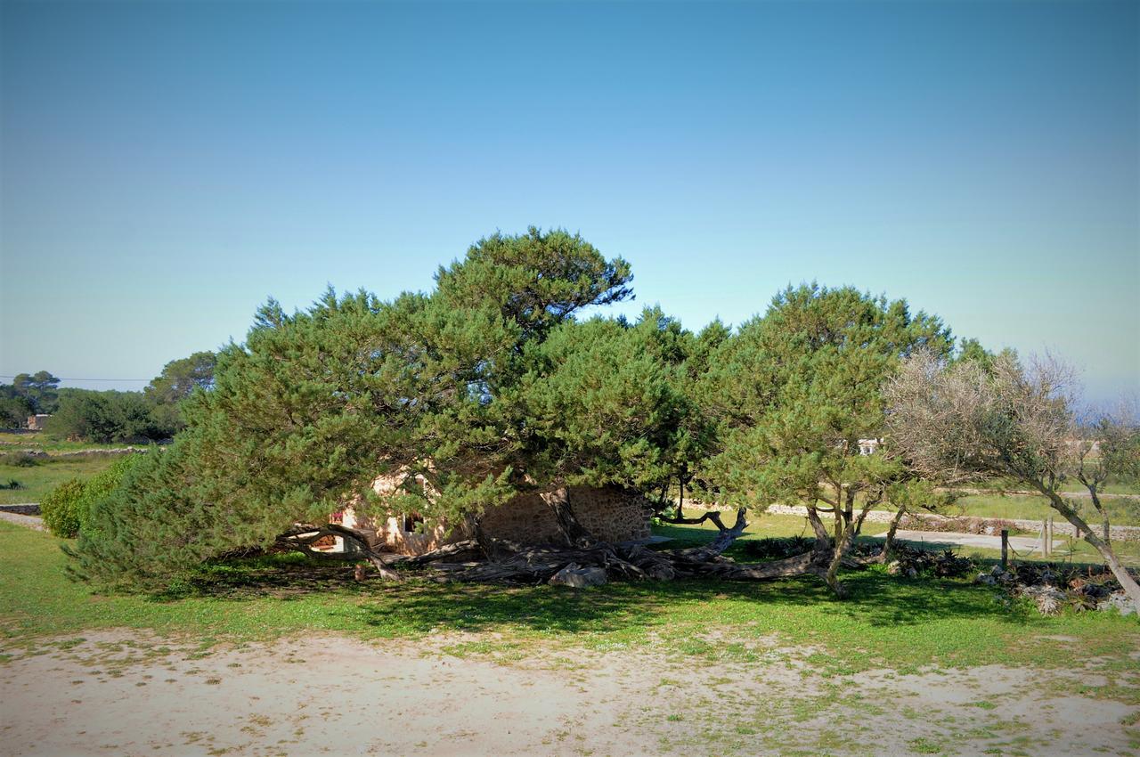 Siamoformentera Bella Βίλα San Francisco Javier Εξωτερικό φωτογραφία