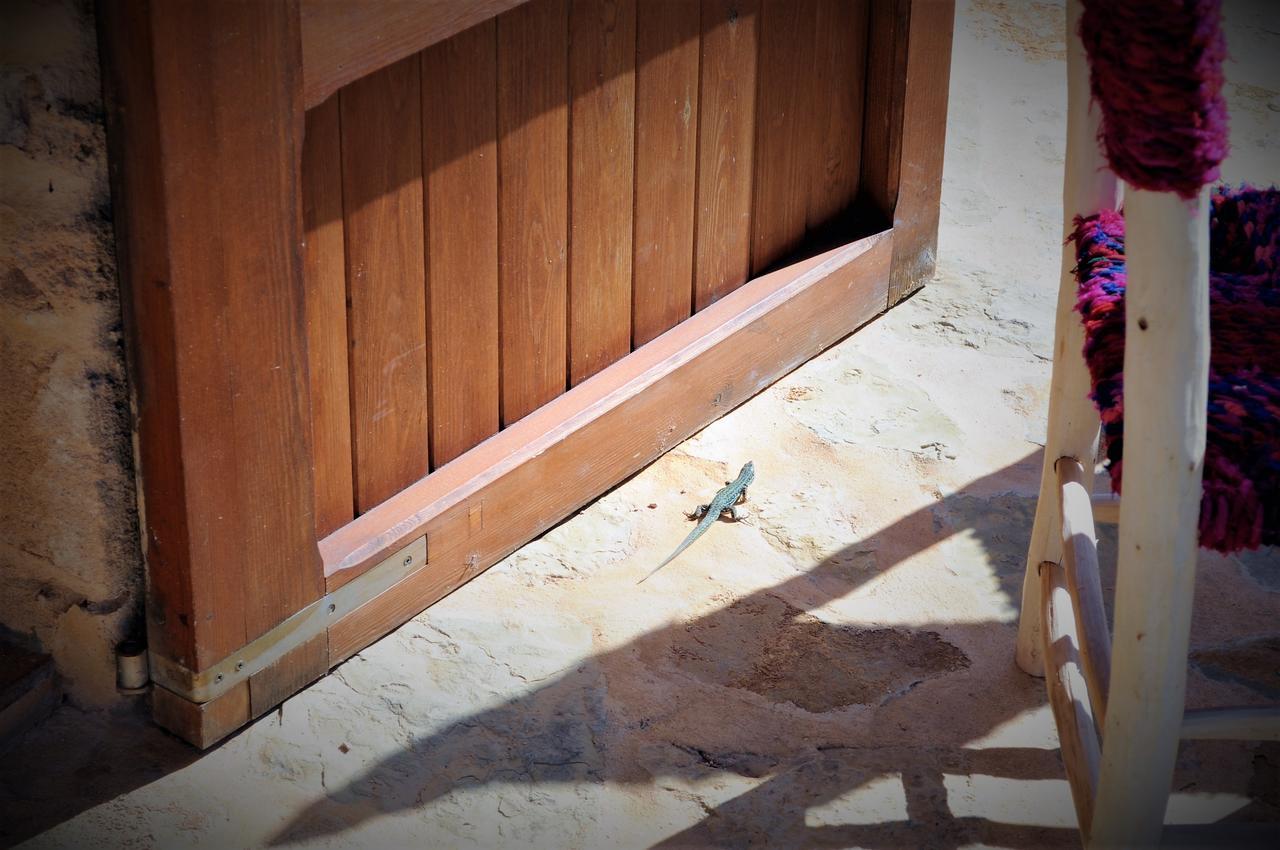 Siamoformentera Bella Βίλα San Francisco Javier Εξωτερικό φωτογραφία